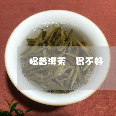 喝普洱茶 胃不好/2023041072724